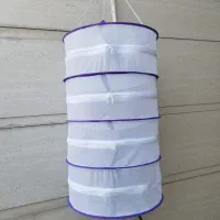 توری سبزی خشک