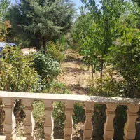 ۱۰۰۰مترباغچه چهاردیواری باجوازساخت وسندتکبرگ باندر|فروش زمین و ملک کلنگی|مرزن‌آباد, |دیوار