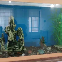 آکواریوم بزرگ