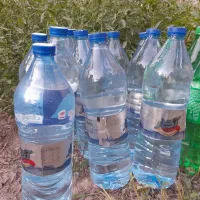 عرق نعناع و پولک(ایده اوتی)