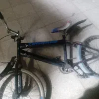شادگان
