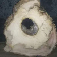 انواع کالباسی وچوب وجوش برای کارهای هنری ورزین|صنایع دستی و سایر لوازم تزئینی|کرمان, |دیوار