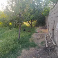 باغ|فروش زمین و ملک کلنگی|باروق, |دیوار