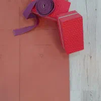 جذب مربی خانم در رشته ایروبیک،بادی ریتم،یوگاپیلاتس