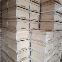 کندو وطبق زنبور عسل