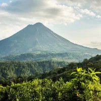 کار با درآمد بالا و جای خواب و غذا و بیمه|استخدام خدمات فروشگاه و رستوران|تهران, صادقیه|دیوار