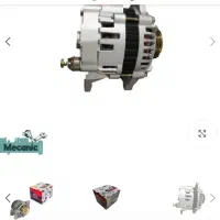 دینام تیباوکوییک عظام