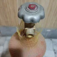 کپسول co2|ماهی|کرج, مهرویلا جنوبی|دیوار