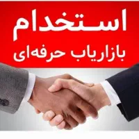 بازاریاب وویزیتور فروش