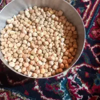 نخود|خوردنی و آشامیدنی|دورود, |دیوار