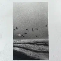 آموزش نقاشی تمامی سنین تمامی تکنیک‌ها|خدمات آموزشی|کرج, جهان‌شهر|دیوار