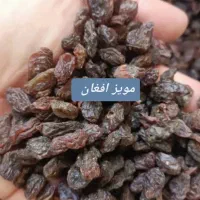 خشکبار رحیمی|خوردنی و آشامیدنی|رشت, پاره بیجار|دیوار