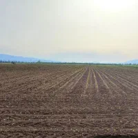 فروش 16هزار متر زمین کشاورزی