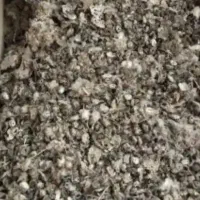 کود کبوتر اصل خشک وتمیز