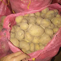 سیب دامی|خوردنی و آشامیدنی|چهاردولی, |دیوار