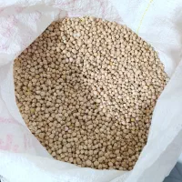 نخود بوجاری شده تمیز