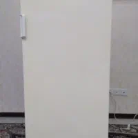 فریزر. زانوسی ایتالیا .اصلی .