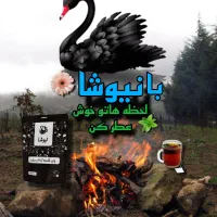 چای خالص نیوشا (بهترین کیفیت)