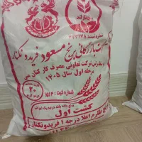 برنج شرکت مس