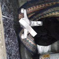 شیر سالم سالم