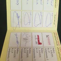 واگذاری گربه اسکاتیش|گربه|اردبیل, |دیوار