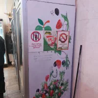 یخچال فریزر ایستاده تمام استیل|فروشگاه و مغازه|تهران, درب دوم|دیوار