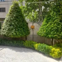 خدمات باغبانی گل کاری هرسکاری وتعویض خاک گلدون|خدمات باغبانی و درختکاری|تهران, قیطریه|دیوار