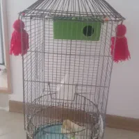 قفس پرنده