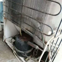 یخچال فریزر سالم و گاز صفحه ای ایتالیایی|یخچال و فریزر|نوشهر, |دیوار