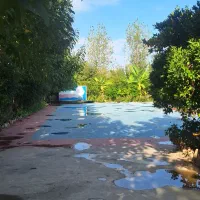 مربی پیلاتس /مربی بدنسازی آقا و خانوم/مربی یوگا|استخدام آموزشی|ساری, |دیوار