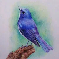 برگزاری کلاس های طراحی چهره مداد رنگی|خدمات آموزشی|داراب, |دیوار