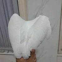 جوجه تازه دونخور پشتدار دوکت کم‌خال|پرنده|تهران, فردوس|دیوار