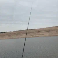 مغازه برای اجاره