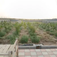 زمین-فوروشی