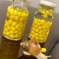 خاویار حلزون/ بوتاکس طبیعی