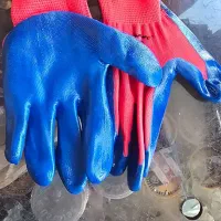 لباس کار درجه یک قیمت تولیدی|لباس|شیراز, شیخ علی چوپان|دیوار