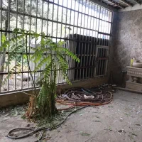 ۲۵۰ متر زنین ۴۰۰ متر بنا دوبلکس چهار خوابه|اجارهٔ خانه و ویلا|کرج, شهرک احمدیه|دیوار