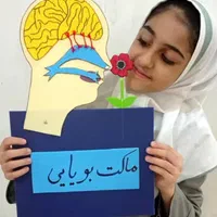 ماکت|مجسمه، تندیس، ماکت|اهواز, شهرک دانشگاه|دیوار