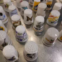 انگشتدانه های اروپایی قدیمی|کلکسیون اشیاء عتیقه|رشت, کاکتوس|دیوار