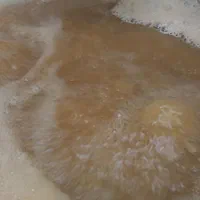فروش عمده وخرده انواع کشمش و شیره انگور ملایر|خوردنی و آشامیدنی|تهران, امام حسین|دیوار