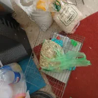 قفس وسایل
