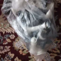 شطرنج سالم و نو