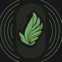 استخدام موشن‌گرافیست حرفه‌ای (حضوری)