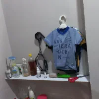 سگ شیتزرتریز|سگ|لاهیجان, کوی آزادگان|دیوار