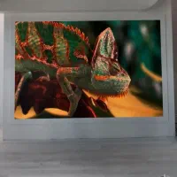 اجاره تلویزیون شهری ،(ویدیو وال )تی وی شهری|تلویزیون و پروژکتور|اصفهان, کوی امیریه|دیوار