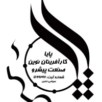 راننده با ماشین