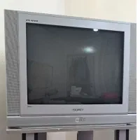 تلویزیون