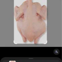 نیروی کار فست فود