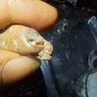 مجمع احجار الجن مصور اکثر من 20 تصویر