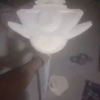 آنتن تی وی